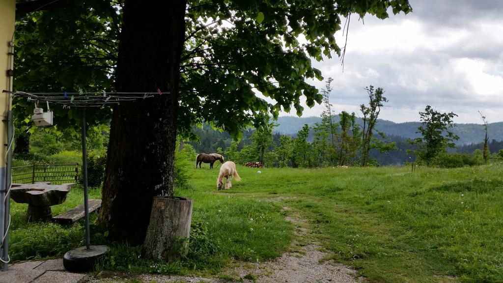 ホテル Gostilna Stara Posta Podkraj エクステリア 写真